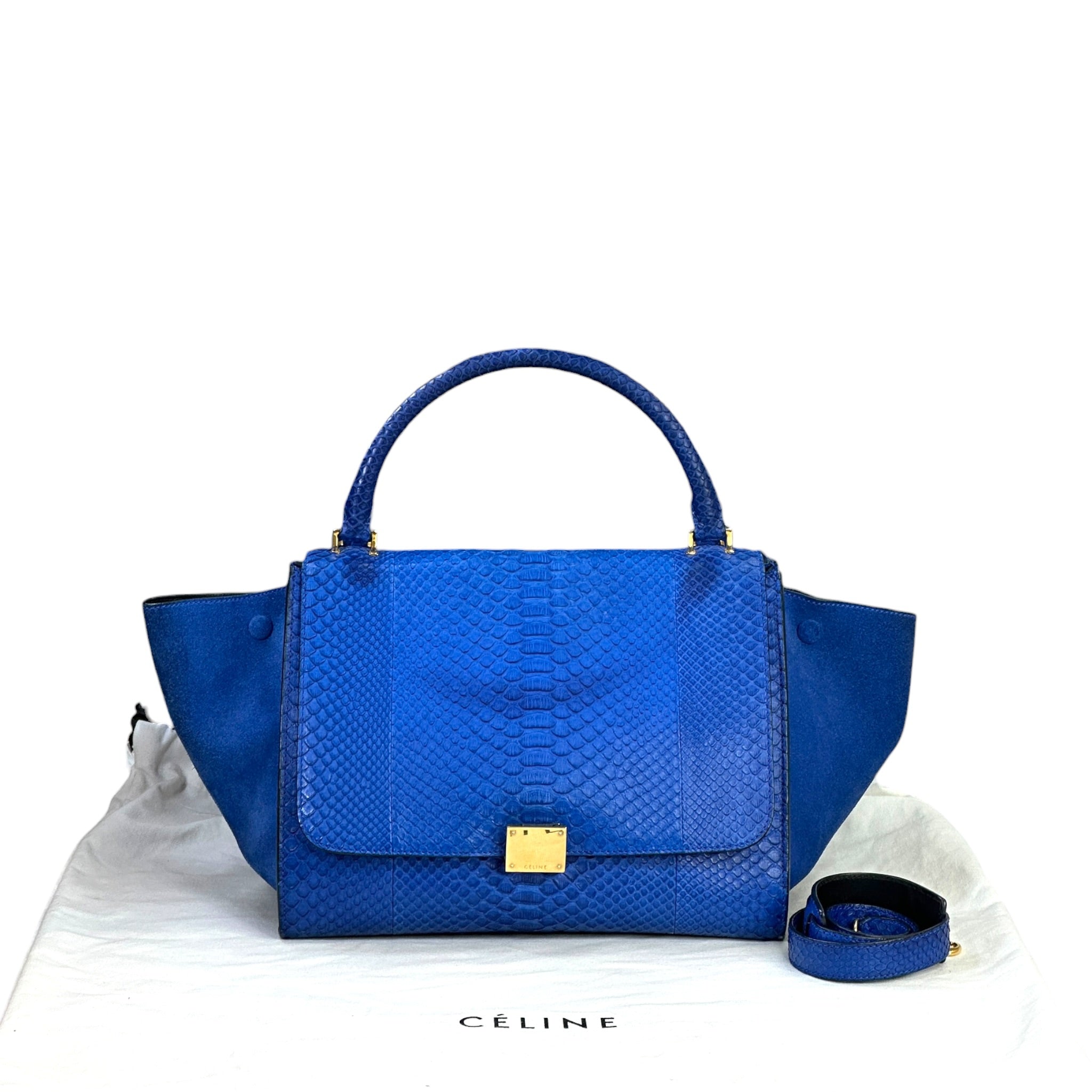Celine Trapeze Top Handle Bag Blue Python Suede