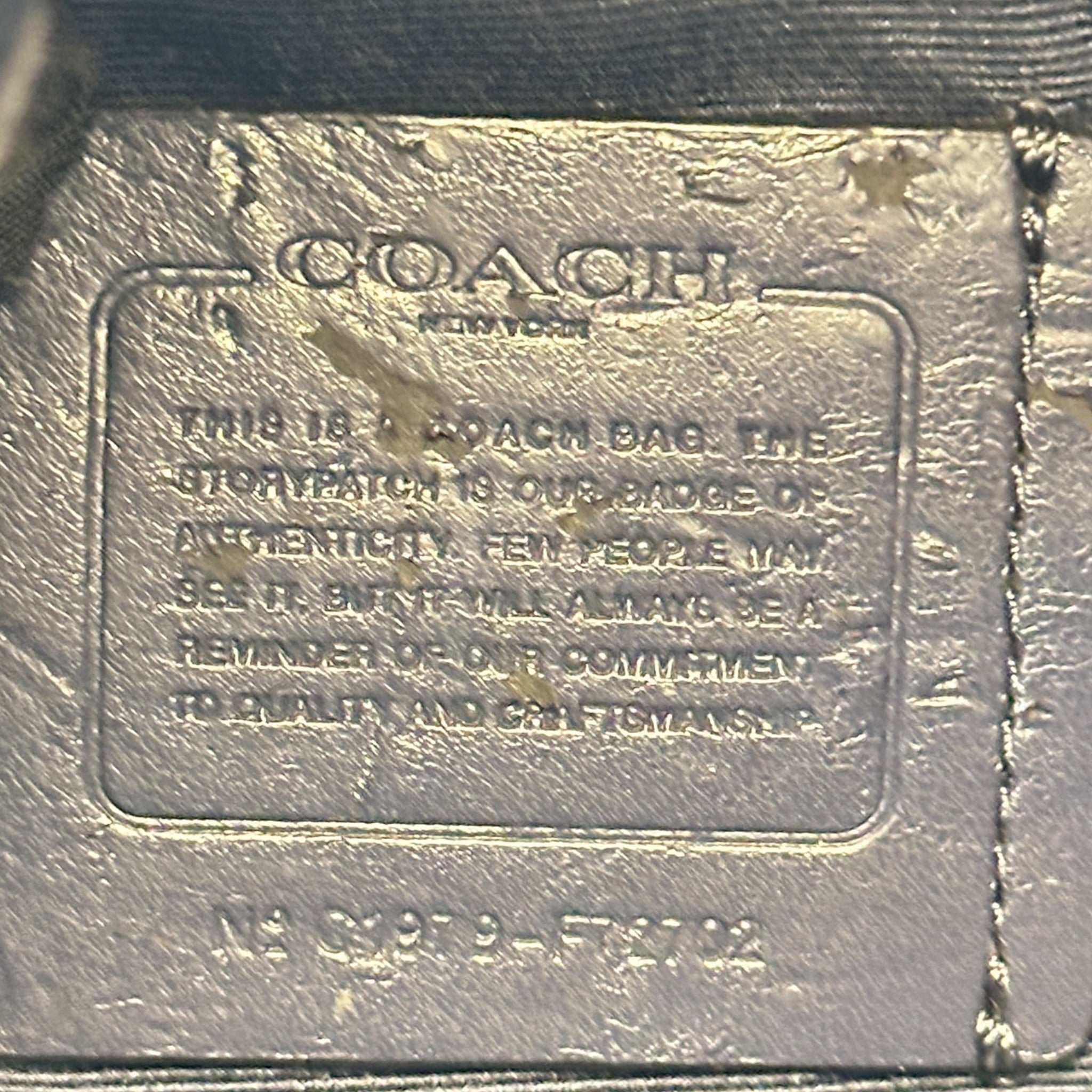 Coach Jes Hobo Blue Leather Bag
