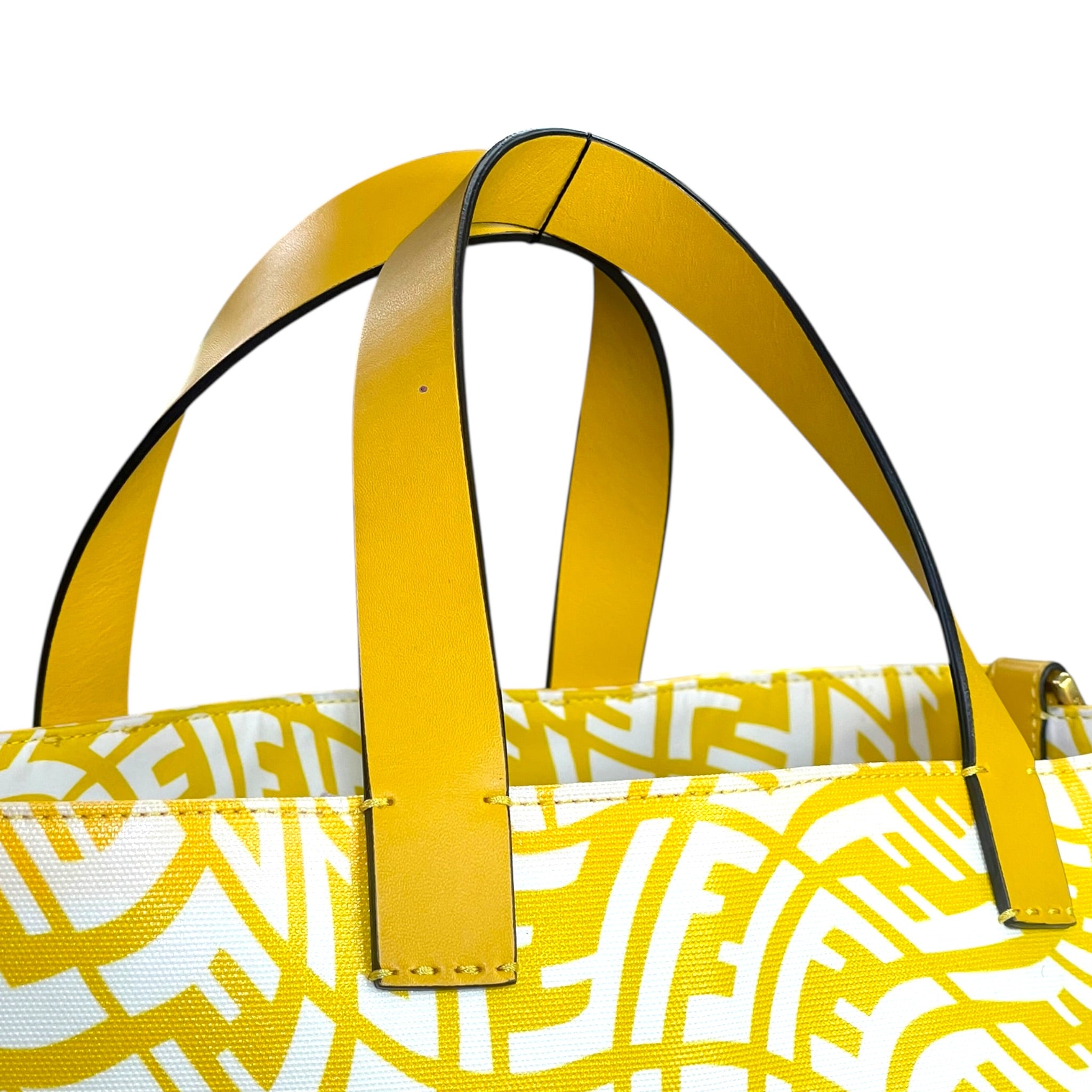 Fendi X Sarah Coleman Zucca FF Vertigo Shopper