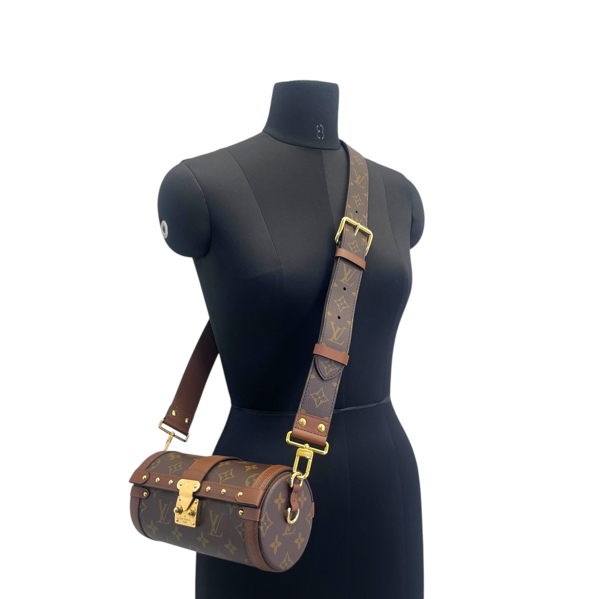 Louis Vuitton Papillon Trunk Handbag Monogram Canvas