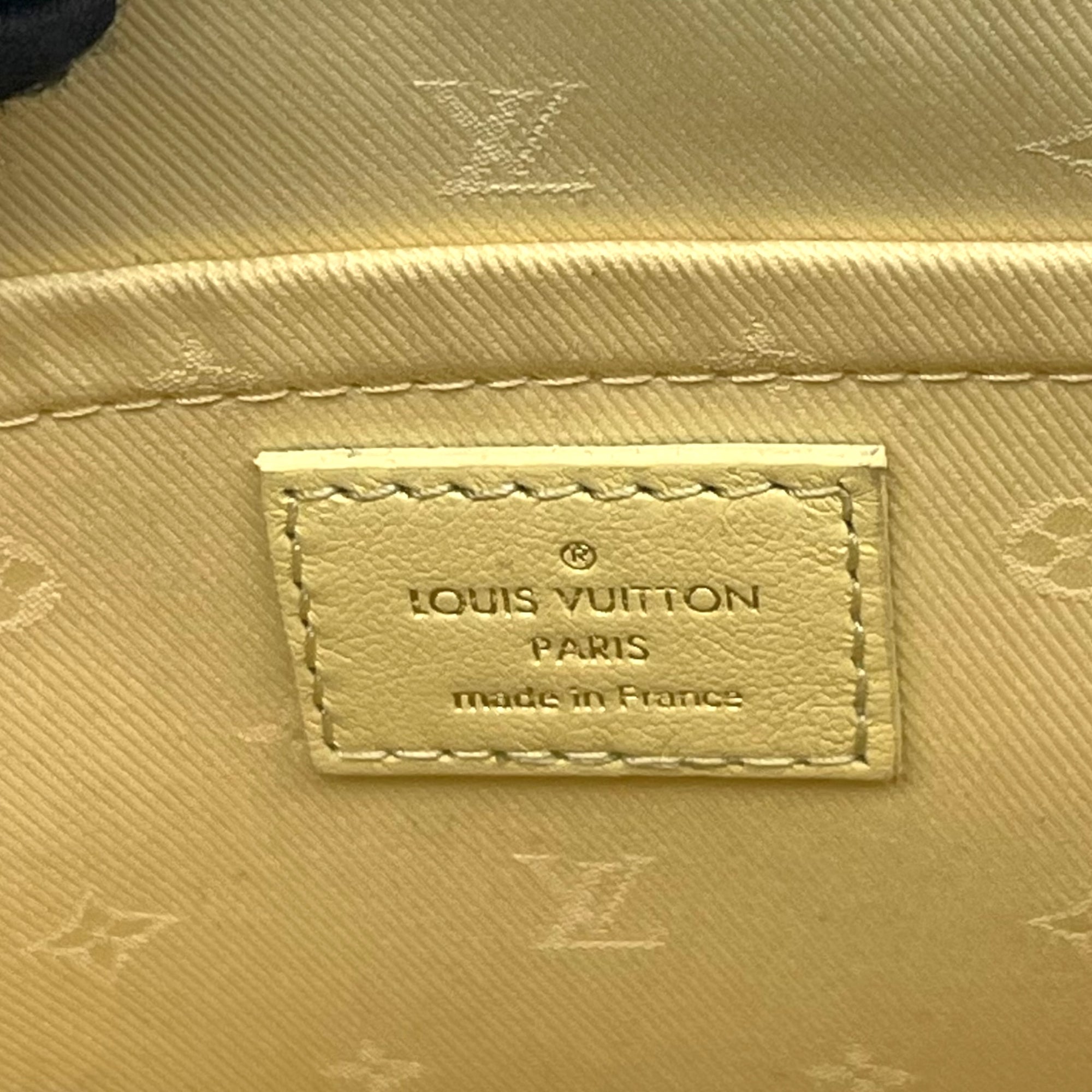 Louis Vuitton Bubble Gram Alma BB Bag