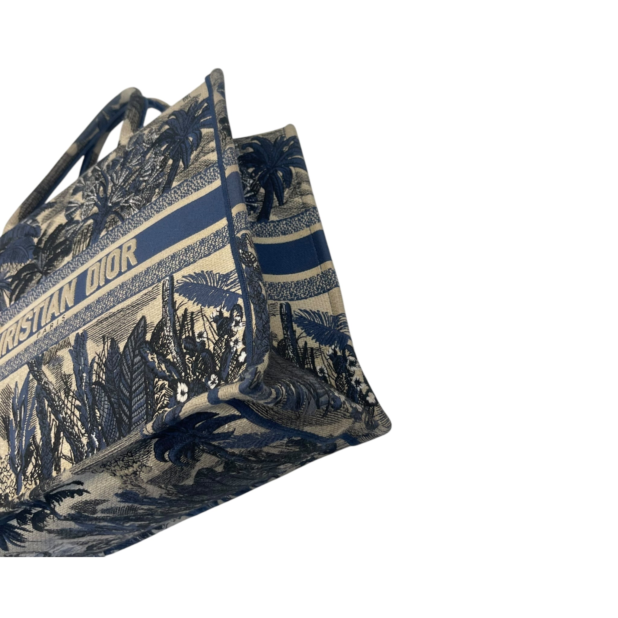 Christian Dior Book Tote Bag