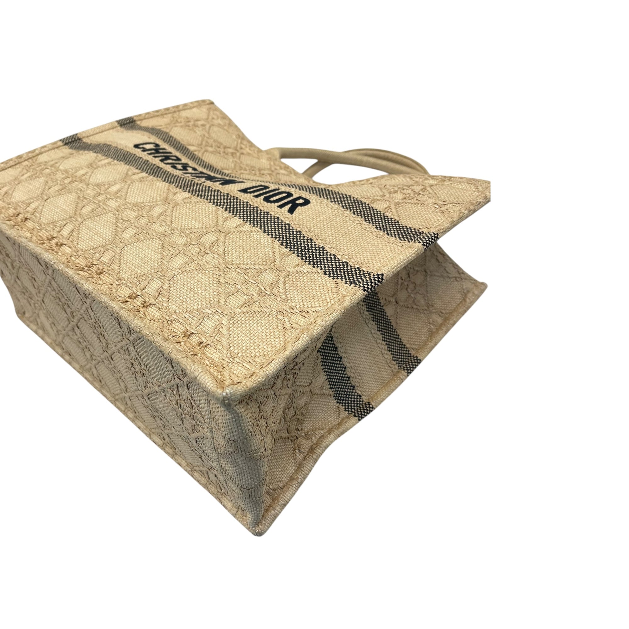 Christian Dior Book Tote