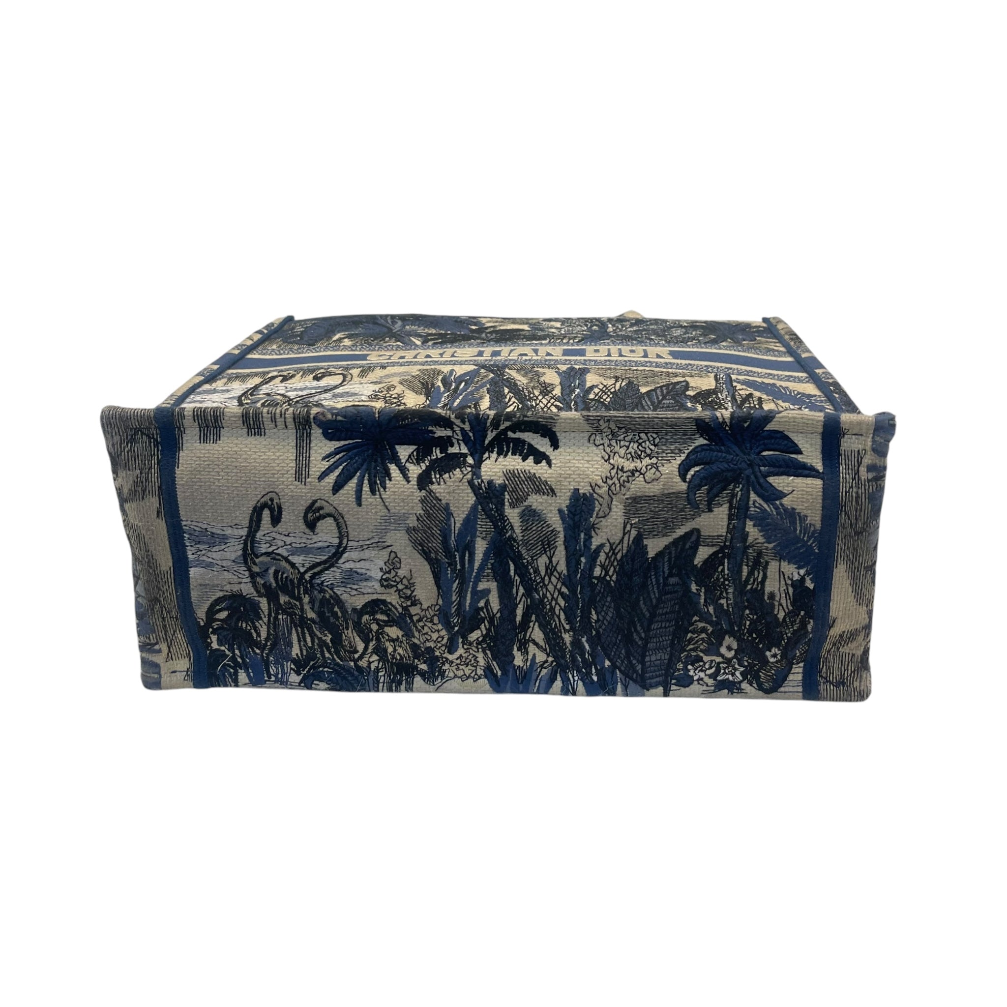 Christian Dior Book Tote Bag