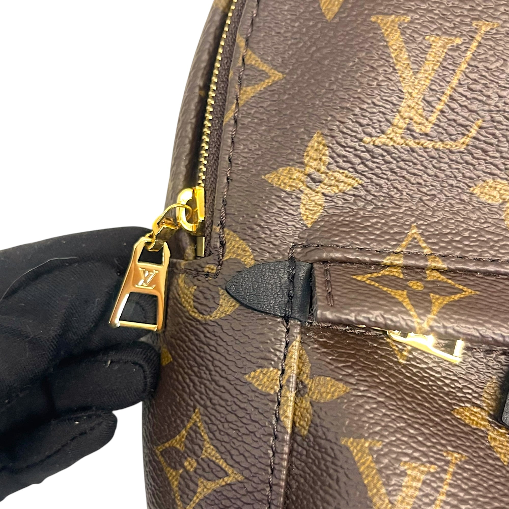 Louis Vuitton Monogram Canvas Mini Palm Springs Backpack