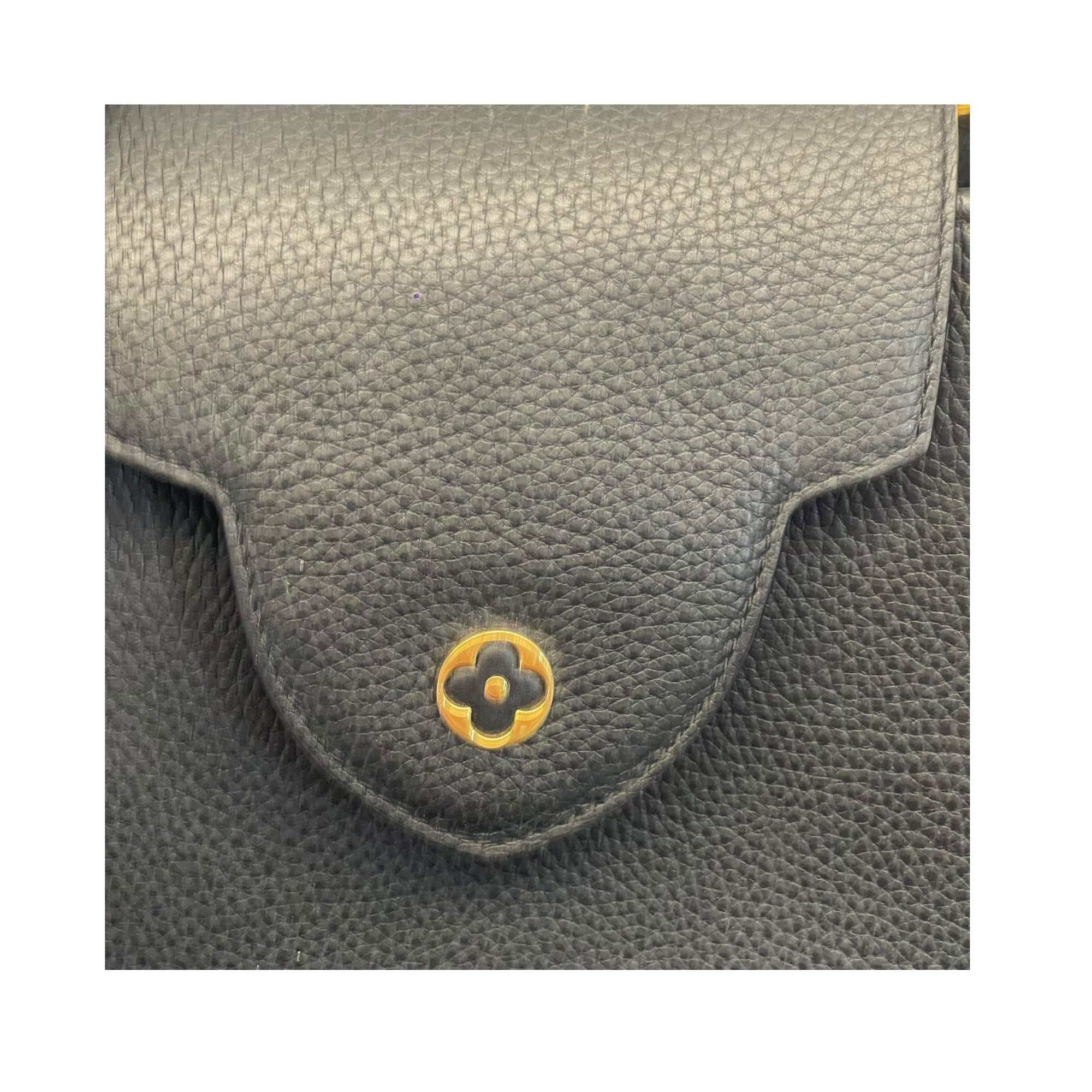 Louis Vuitton Capucines Bag