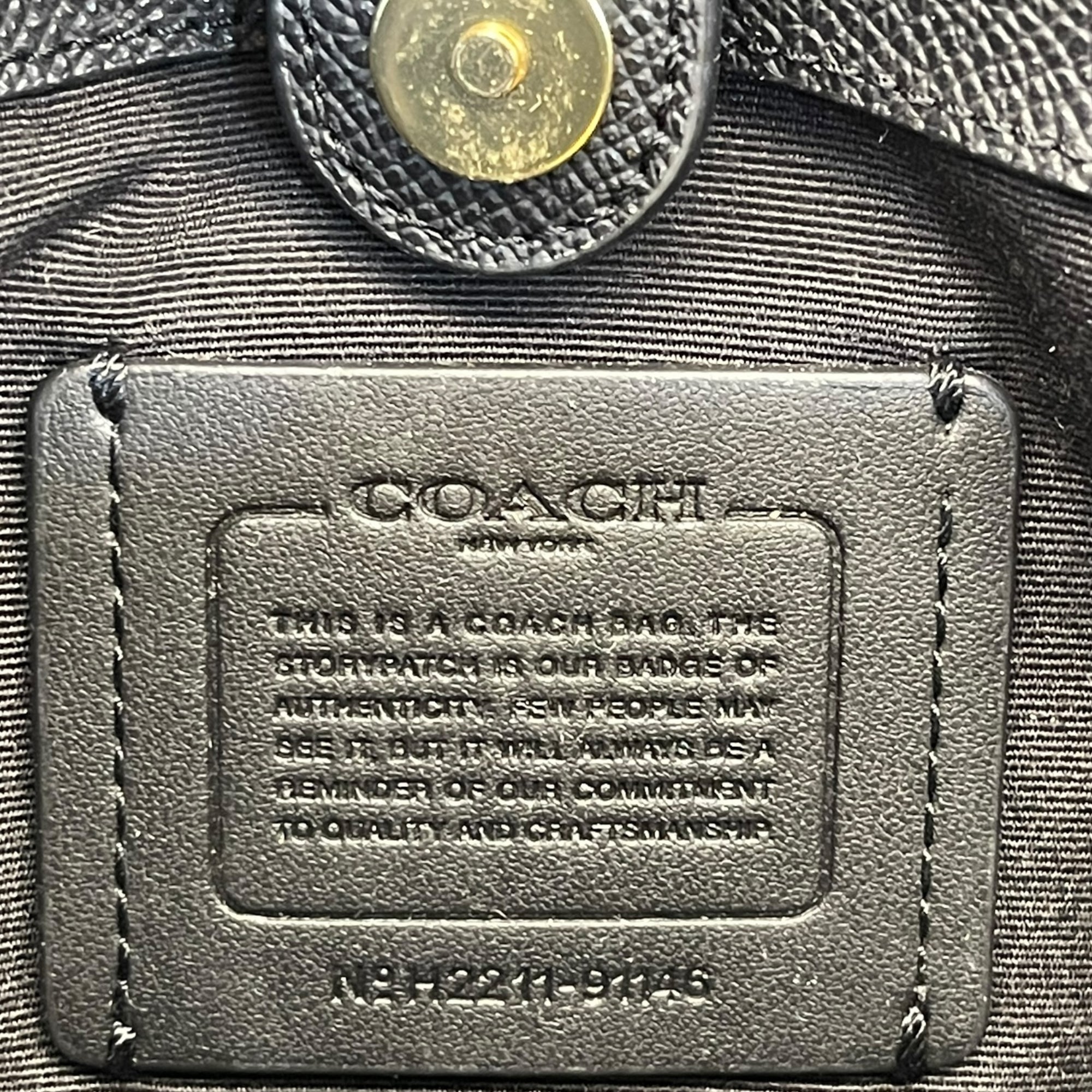 Coach Mini Lillie Carryall Bag