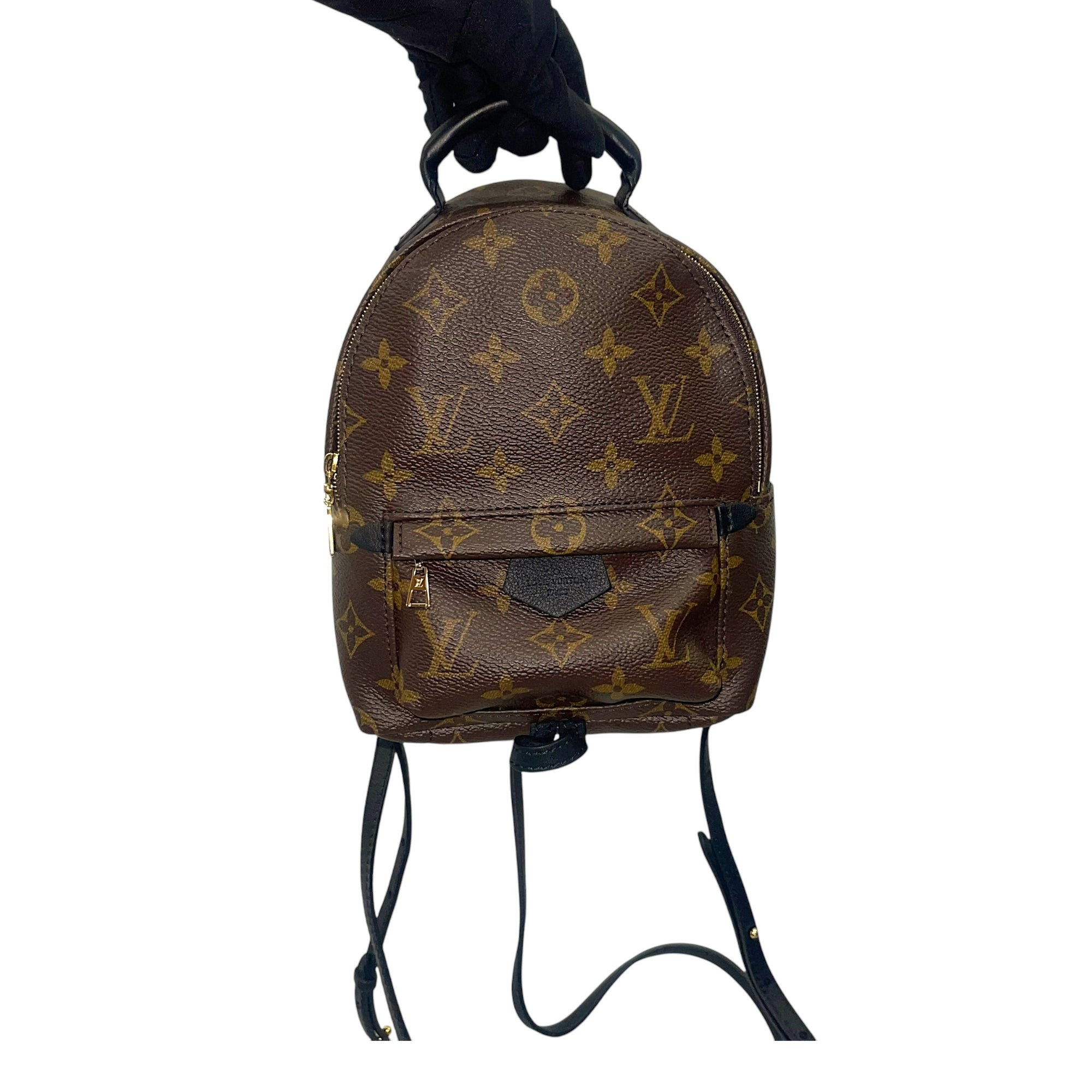 Louis Vuitton Monogram Canvas Mini Palm Springs Backpack