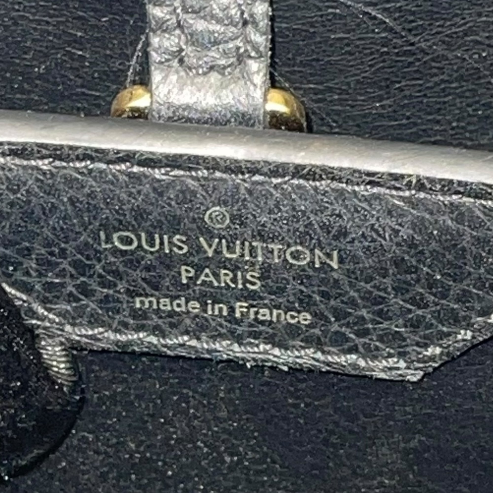 Louis Vuitton Capucines Bag