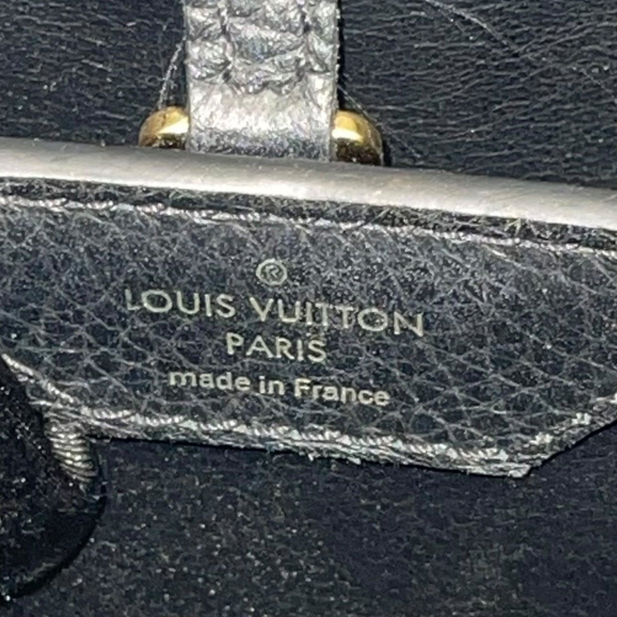 Louis Vuitton Capucines Bag