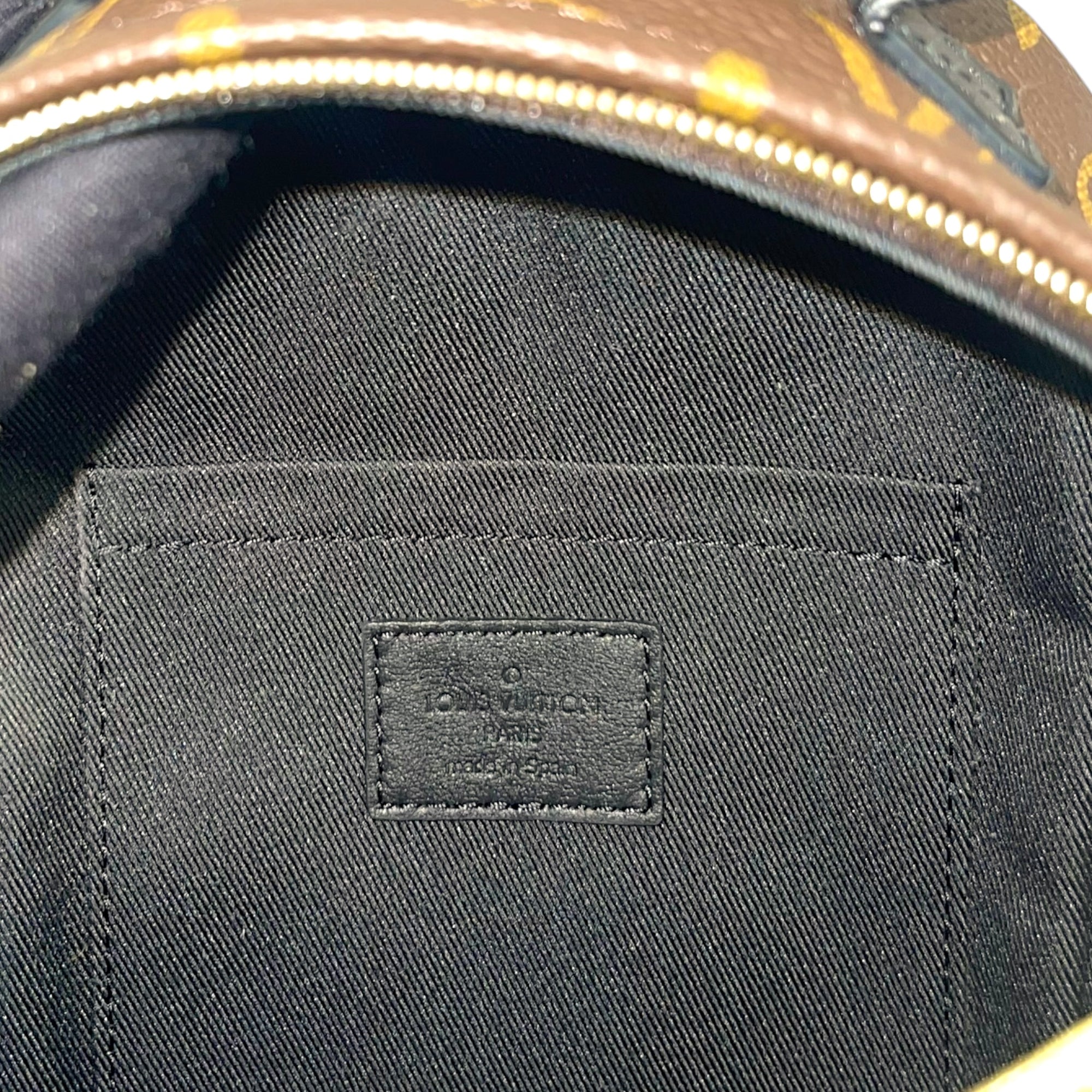 Louis Vuitton Monogram Canvas Mini Palm Springs Backpack