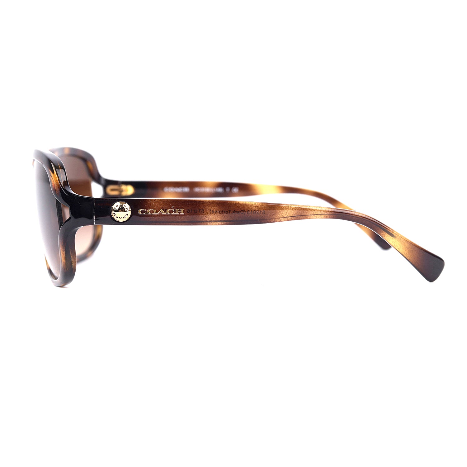 Coach Women Gradient Oversized Sunglasses