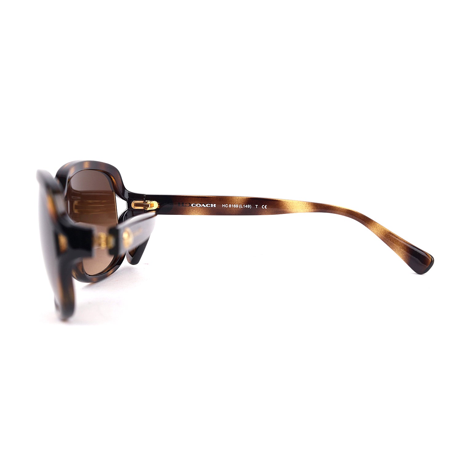 Coach Women Gradient Oversized Sunglasses