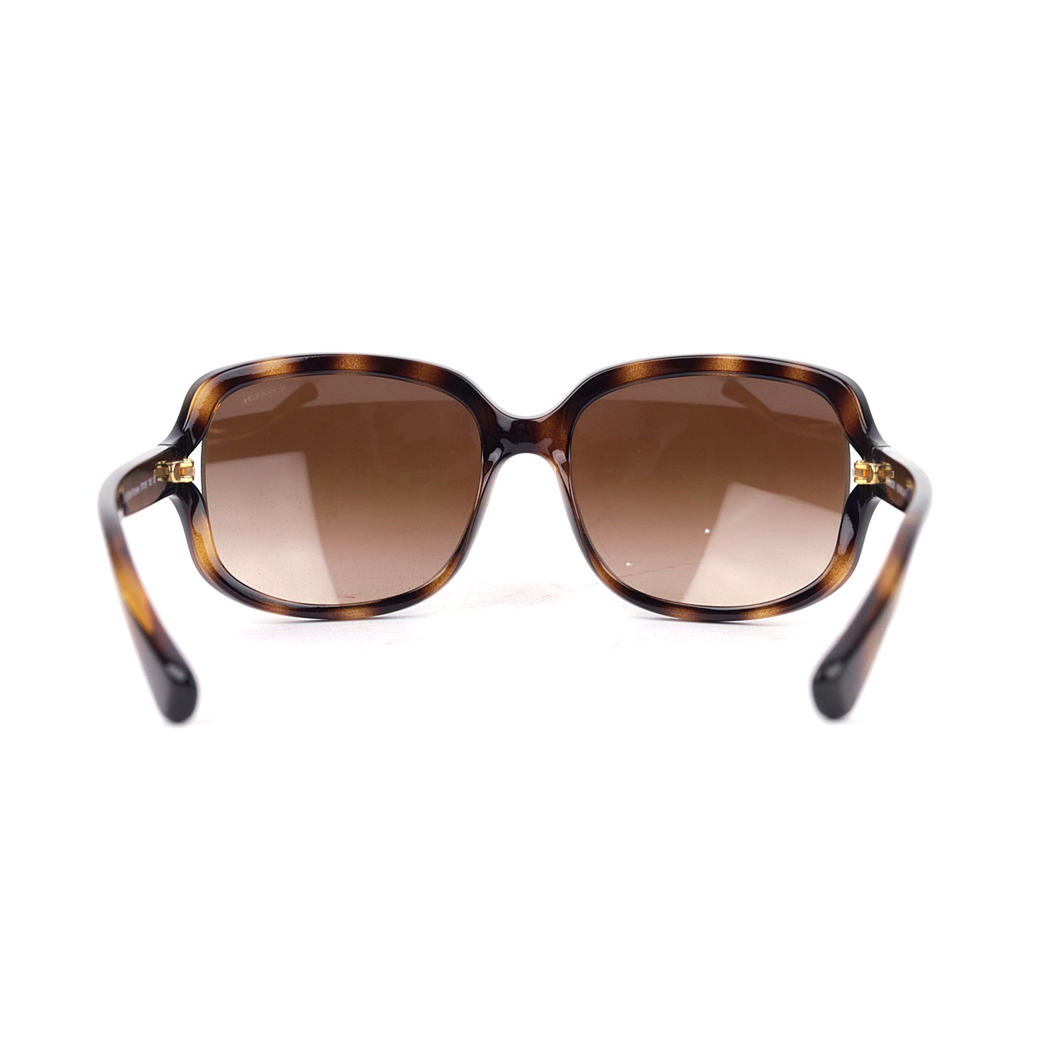 Coach Women Gradient Oversized Sunglasses