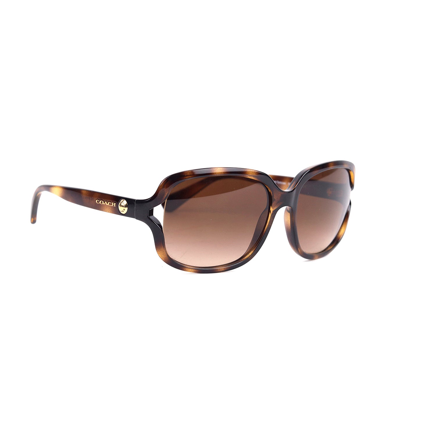 Coach Women Gradient Oversized Sunglasses
