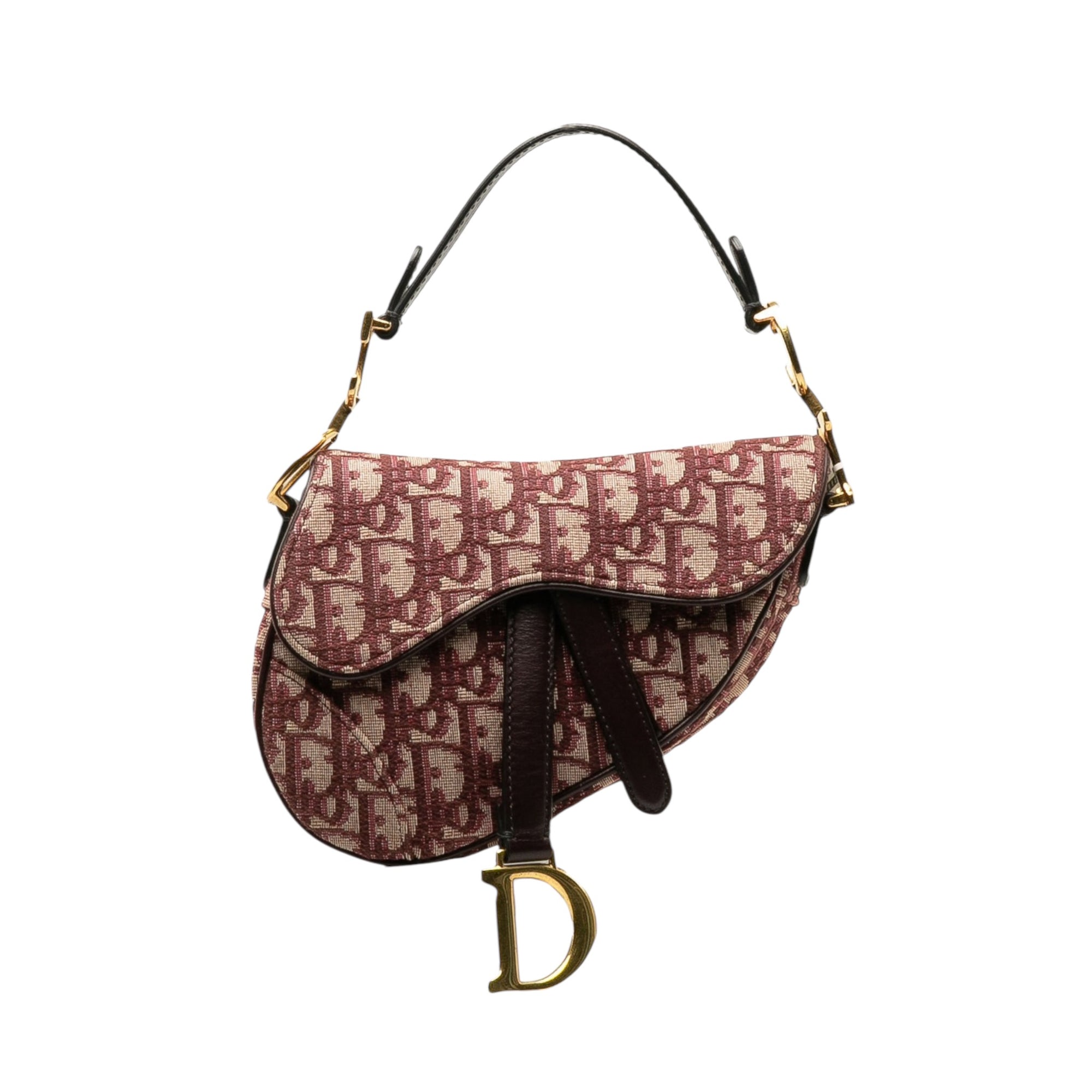 Chrisitan Dior Oblique Saddle Mini