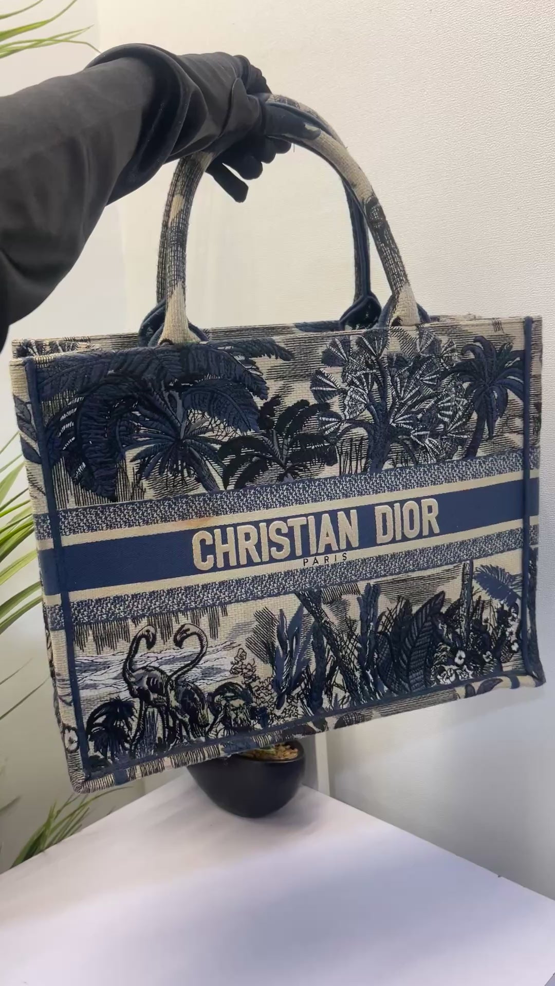 Buy Christian Dior Book Tote Bag from Christian Dior Online at The