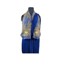 Blue Saree with Embroidered Jacket