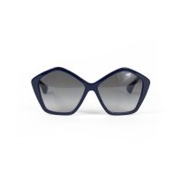 Blue Frame Sunglasses